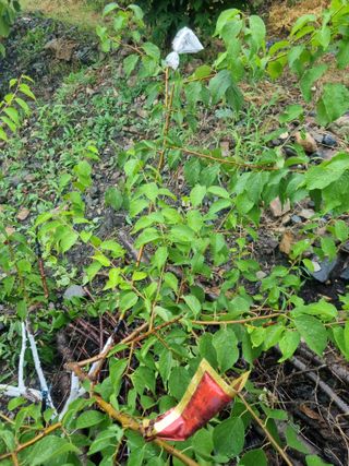 김용대님의 자유주제 · 자유게시판 작성글 사진