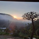 팜모닝 자유주제·자유게시판 게시글 이미지