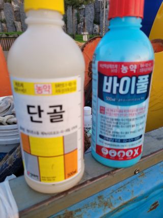 신상범님의 들깨 · 영농일지 작성글 사진