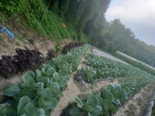 전제연 님의 자유주제 · 건의해요 작성글 사진