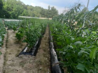 전제연 님의 자유주제 · 건의해요 작성글 사진