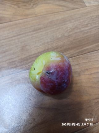 텃밭님의 농사, 무엇이든 물어보세요! · 참여글 작성글 사진