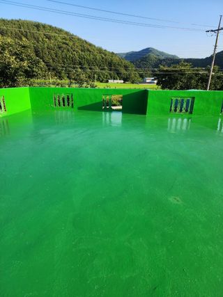 서성환님의 자유주제 · 자유게시판 작성글 사진