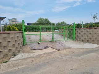 포도15264님의 팜퀴즈 결과 자랑하기 · 참여글 작성글 사진