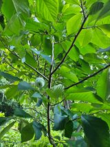 팜모닝 자유주제·자유게시판 게시글 이미지