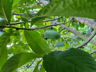 신준철님의 자유주제 · 자유게시판 작성글 사진