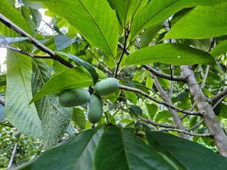 신준철님의 자유주제 · 자유게시판 작성글 사진