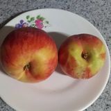 팜모닝 자유주제·자유게시판 게시글 이미지