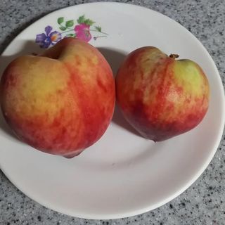 장만월님의 자유주제 · 자유게시판 작성글 사진