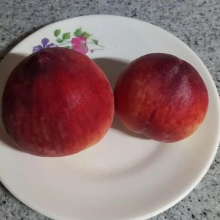 장만월님의 자유주제 · 자유게시판 작성글 사진