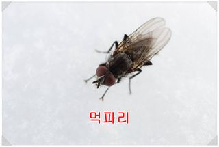 민완식님의 자유주제 · 자유게시판 작성글 사진
