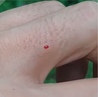 민완식님의 자유주제 · 자유게시판 작성글 사진