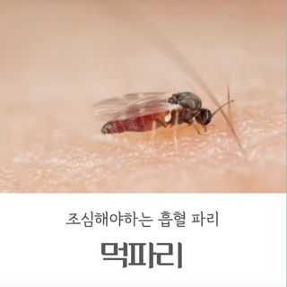 민완식님의 자유주제 · 자유게시판 작성글 사진