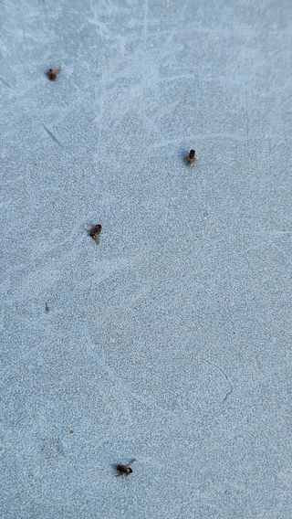 민완식님의 자유주제 · 자유게시판 작성글 사진