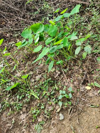 한상경님의 자유주제 · 사진전 작성글 사진