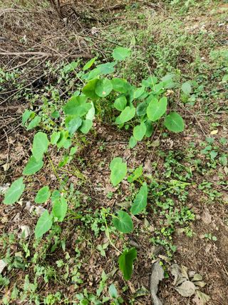 한상경님의 자유주제 · 사진전 작성글 사진
