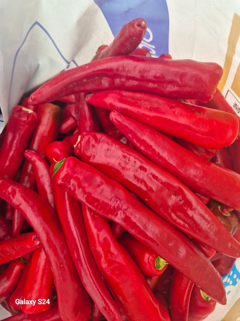 초보 농사꾼~~~ㅇ님의 장터 판매 상품 [24년 햇 고춧가루 한근(450g)] 첨부 사진