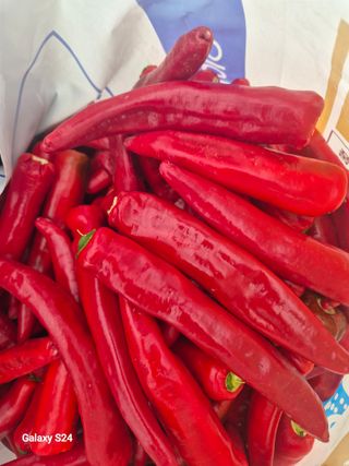 초보 농사꾼~~~ㅇ님의 작성글 사진