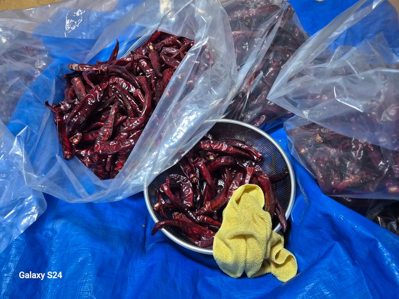 초보 농사꾼~~~ㅇ님의 장터 판매 상품 [24년 햇 고춧가루 한근(450g)] 첨부 사진