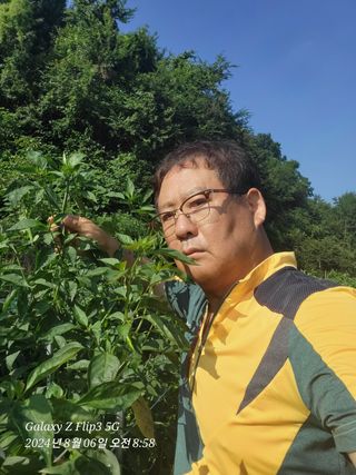 이영기님의 고추 · 영농일지 작성글 사진
