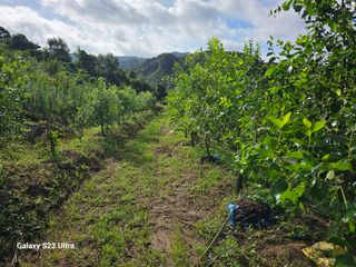 공주유구 구계박만호님의 기타작물 · 영농일지 작성글 사진