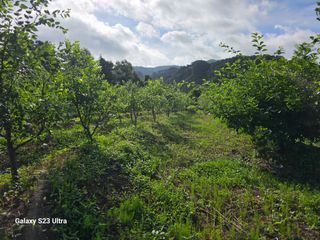 공주유구 구계박만호님의 기타작물 · 영농일지 작성글 사진