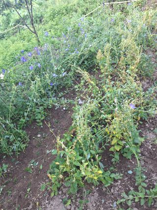 대봉은행나무님의 자유주제 · 자유게시판 작성글 사진