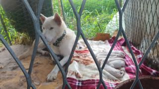 김인선님의 자유주제 · 자유게시판 작성글 사진