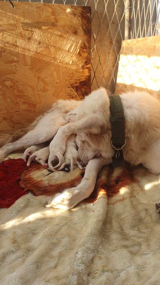 김인선님의 자유주제 · 자유게시판 작성글 사진