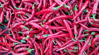 장수농장님의 자유주제 · 사진전 작성글 사진