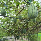 팜모닝 자유주제·자유게시판 게시글 이미지