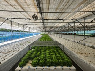 지상국님의 파 · 영농일지 작성글 사진