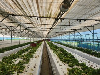 지상국님의 파 · 영농일지 작성글 사진