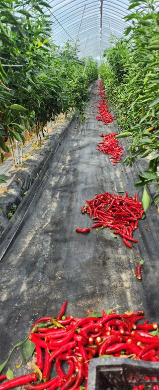 장기수님의 자유주제 · 자유게시판 작성글 사진