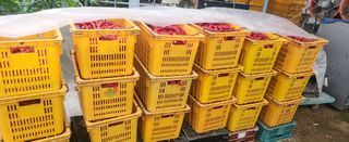 장기수님의 자유주제 · 자유게시판 작성글 사진