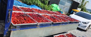 장기수님의 자유주제 · 자유게시판 작성글 사진