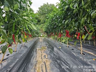 문서연님의 자유주제 · 자유게시판 작성글 사진