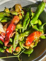 팜모닝 고추·영농일지 게시글 이미지