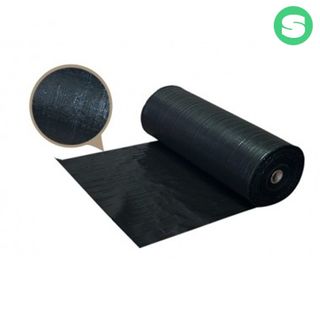 μμΈλμμ¬λμ μμ±κΈ μ¬μ§