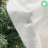 팜모닝 · 게시글 이미지