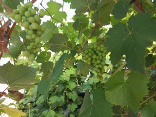 토마토6893님의 자유주제 · 자유게시판 작성글 사진