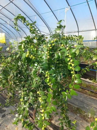 토마토6893님의 자유주제 · 자유게시판 작성글 사진