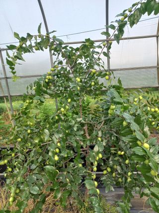 토마토6893님의 자유주제 · 자유게시판 작성글 사진