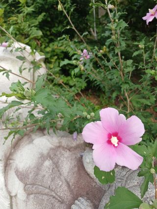 김경란 님의 자유주제 · 자유게시판 작성글 사진