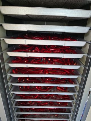 권춘화님의 ☀️8월 농작업 계획 · 참여글 작성글 사진