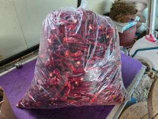 권춘화님의 ☀️8월 농작업 계획 · 참여글 작성글 사진