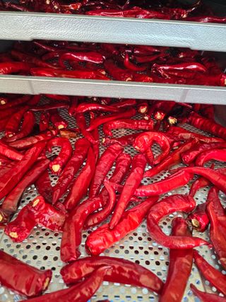 권춘화님의 ☀️8월 농작업 계획 · 참여글 작성글 사진