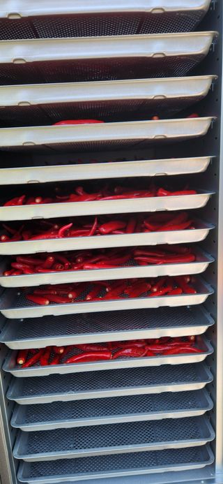 이인구님의 고추 · 영농일지 작성글 사진