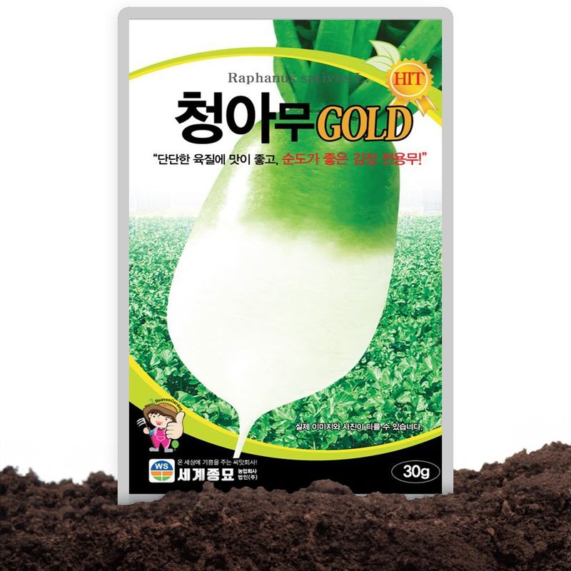 가을 저장용 김장무씨 종자 단단한 무 내병성무 무우씨 청아무골드 씨앗 30g - 팜모닝