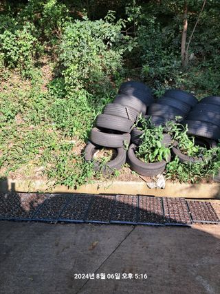 이태봉님의 배추 · 영농일지 작성글 사진